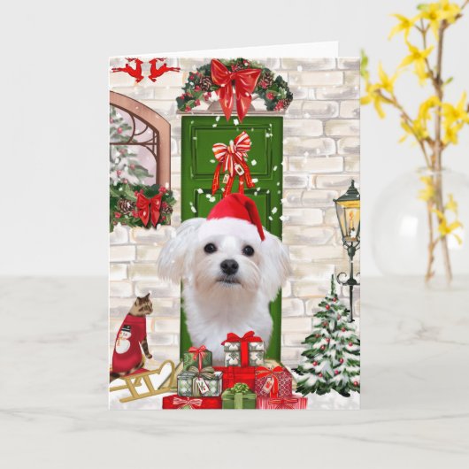 Carte Chien Maltais Noël (Fleur jaune)