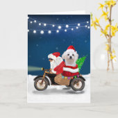 Carte Chien maltais Noël Père Noël (Fleur jaune)