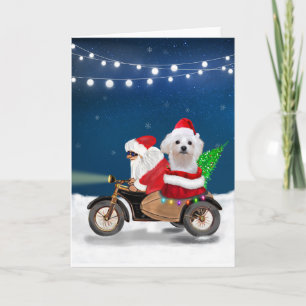 Carte Chien maltais Noël Père Noël