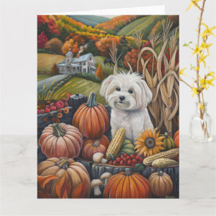 Carte Chien maltais, récolte d'automne, Action de grâce