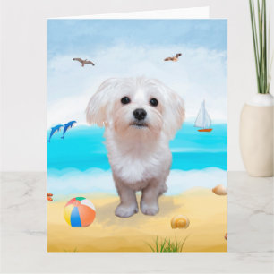 Carte Chien maltais sur la plage
