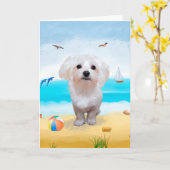 Carte Chien maltais sur la plage (Fleur jaune)