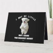 Carte Chien Maltese Petit Maltais Chien Design Drôle Cit (Dos)