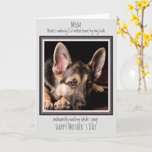 Carte Chien Maman Drôle Joyeux Fête des Mères Mignonne C (Fleur jaune)