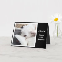 Chien mignon drôle 40e anniversaire