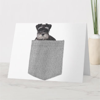 Carte Chien mignon Miniature Schnauzer dans votre poche 