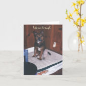 Carte Chien mignon Se tirer bien/Jambe cassée (Fleur jaune)