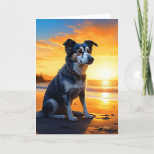 Carte Chien mignon sur la plage au coucher du soleil   J