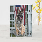 Carte chien militaire (Fleur jaune)