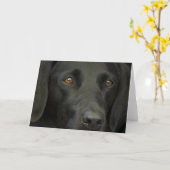 Carte Chien noir du Labrador (Fleur jaune)