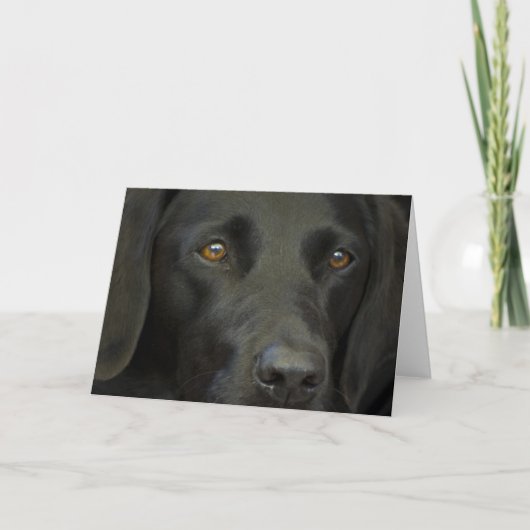 Carte Chien noir du Labrador (Devant)
