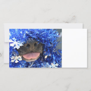 Carte Chien noir langue de nez sortie teinte bleue