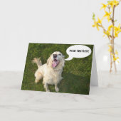 Carte Chien parlant Templete (Fleur jaune)