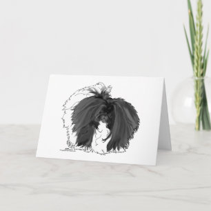 Carte Chien pekingese noir et blanc