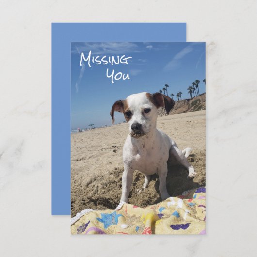 Carte Chien Personalisé Manquant (Devant / Derrière)