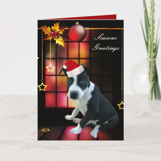 Carte Chien Pitbull Puppy Noël (Devant)