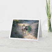 Carte Chien qui court et saute (Devant)