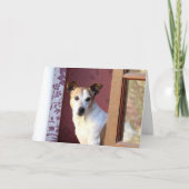 Carte Chien qui t'a manqué (Devant)