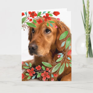 Carte Chien Retriever doré avec fleurs rouges à l'aquare