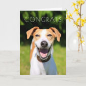 Carte Chien riant des images | de Getty (Fleur jaune)