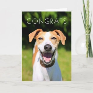 Carte Chien riant des images de Getty