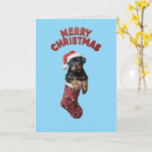 Carte Chien Rottweiler Mignon Noël (Fleur jaune)