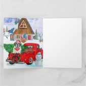 Carte Chien Saint-Bernard dans un camion de livraison de (Intérieur)