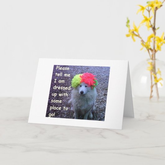 CARTE CHIEN S'EST HABILLÉ POUR CÉLÉBRER VOTRE "30E" B-JO (Fleur jaune)