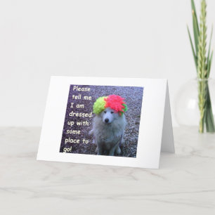 CARTE CHIEN S'EST HABILLÉ POUR CÉLÉBRER VOTRE "30E" B-JO