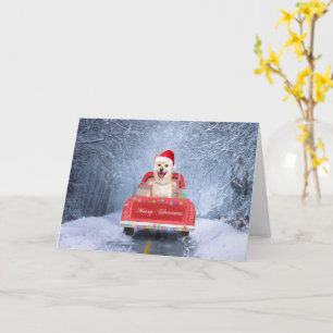 Carte Chien Shiba Inu dans la neige assis dans un camion