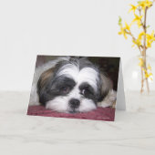 Carte Chien Shih Tzu (Fleur jaune)
