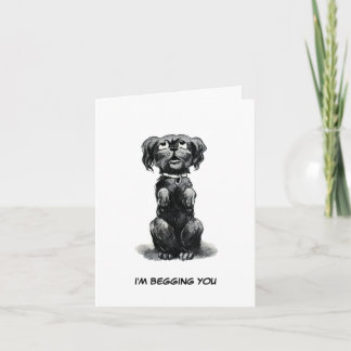 Carte Chien suppliant pour le pardon, souhaits d'anniver