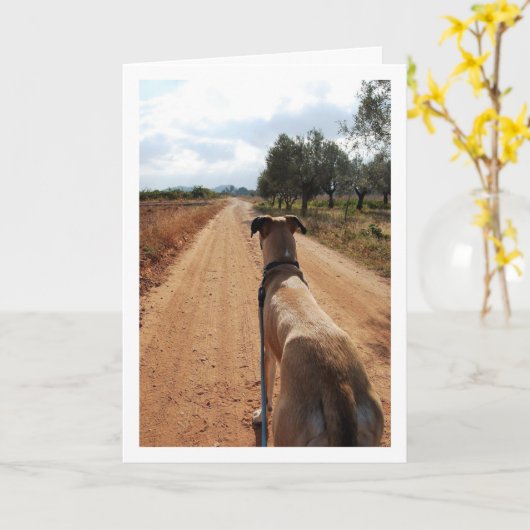 Carte Chien sur Dusty Road (Fleur jaune)