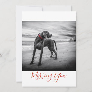 Carte Chien sur la plage B&W Photo Missing You One Page