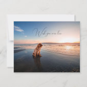 Carte Chien sur la plage Miss You Flat Grey Card (Devant)
