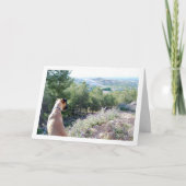 Carte Chien sur le portrait de montagne (Devant)