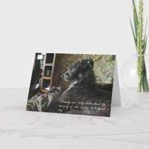 Carte Chien sur le Sens de l'Amour