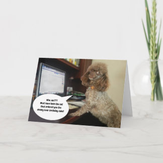 Carte Chien sur l'ordinateur, accuse Chat Funny Annivers