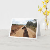 Carte Chien sur route poussiéreuse (Fleur jaune)