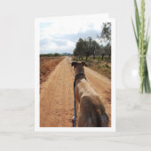 Carte Chien sur route poussiéreuse (Devant)