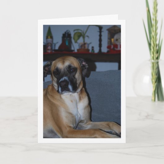 Carte Chien sur Sofa Portrait (Devant)