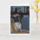 Carte Chien sur Sofa Portrait (Fleur jaune)