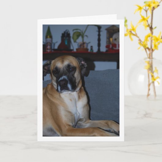 Carte Chien sur Sofa Portrait (Fleur jaune)