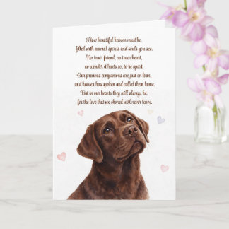 Carte Chien Sympathie Perte Labrador Chocolat Spirituel