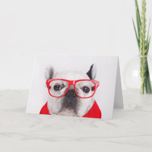 Carte Chien-taureau français avec lunettes et chemise