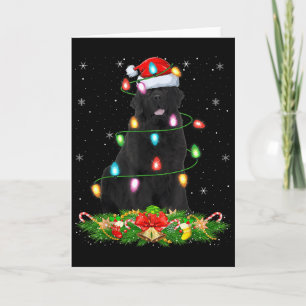 Carte Chien Terre-Neuve Lumières de Noël Drôle de Chapea