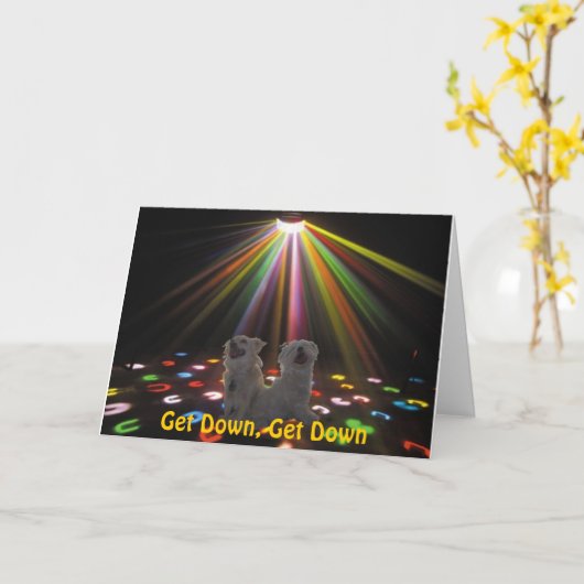 Carte chiens à disco (Fleur jaune)