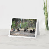 Carte Chiens à l'école de formation (Devant)