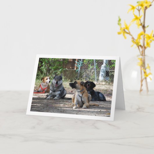 Carte Chiens à l'école de formation (Fleur jaune)