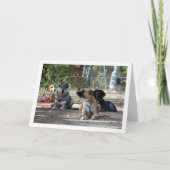 Carte Chiens à l'école de formation (Devant)